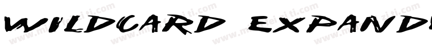Wildcard Expanded Italic Expanded I字体转换